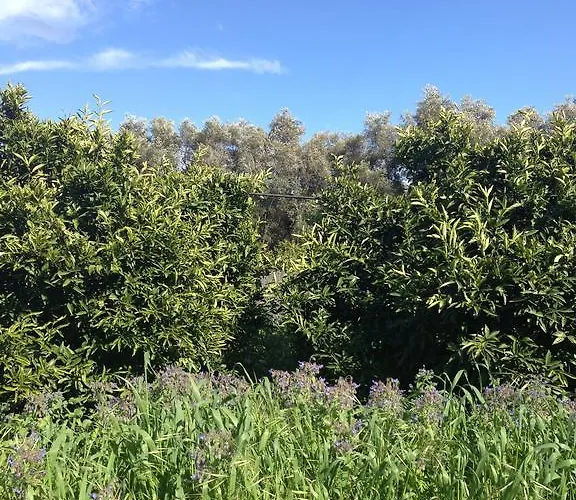 לינה וארוחת בוקר Casa Solares Solfara Mare