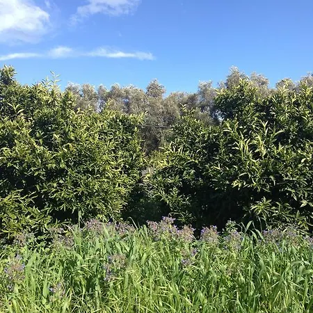 Frühstückspension Casa Solares Solfara Mare