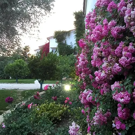 Bed & Breakfast Casa Solares Solfara Mare