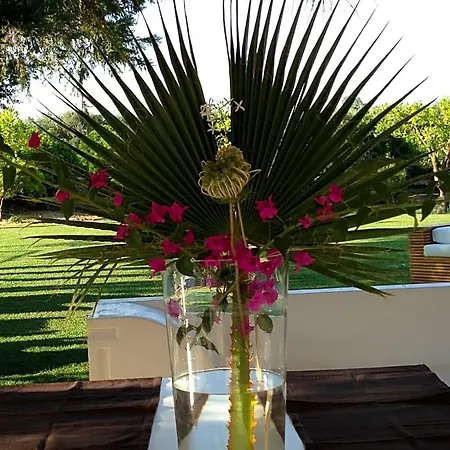 Casa Solares Bed & Breakfast Rossano