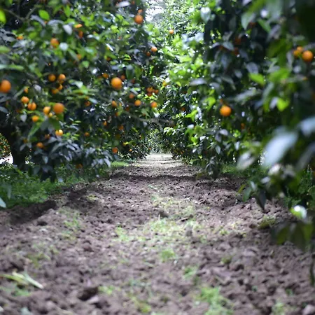 Frühstückspension Casa Solares 4*