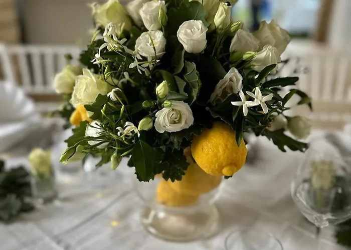 Casa Solares 솔파라 마레