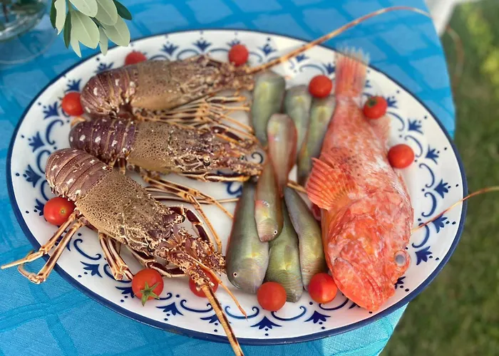 Alojamento de Acomodação e Pequeno-almoço Casa Solares 4*