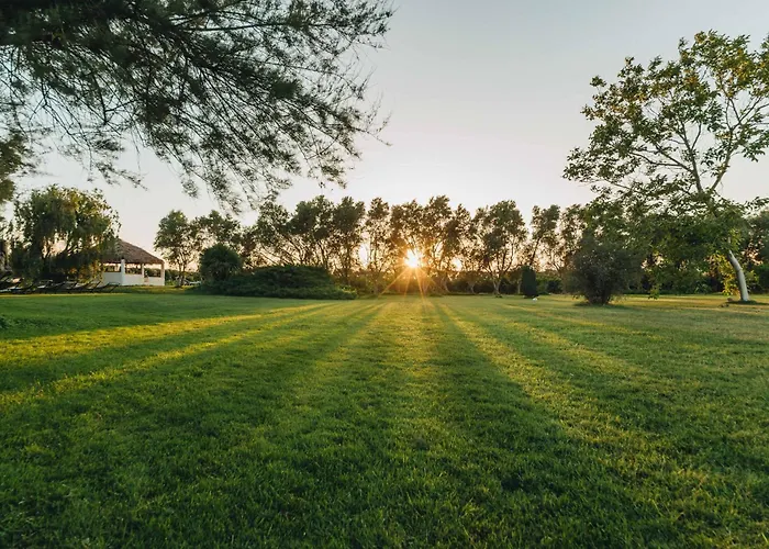 Alojamento de Acomodação e Pequeno-almoço Casa Solares